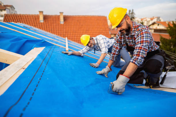 Best Metal Roofing Contractor  in Laurium, MI